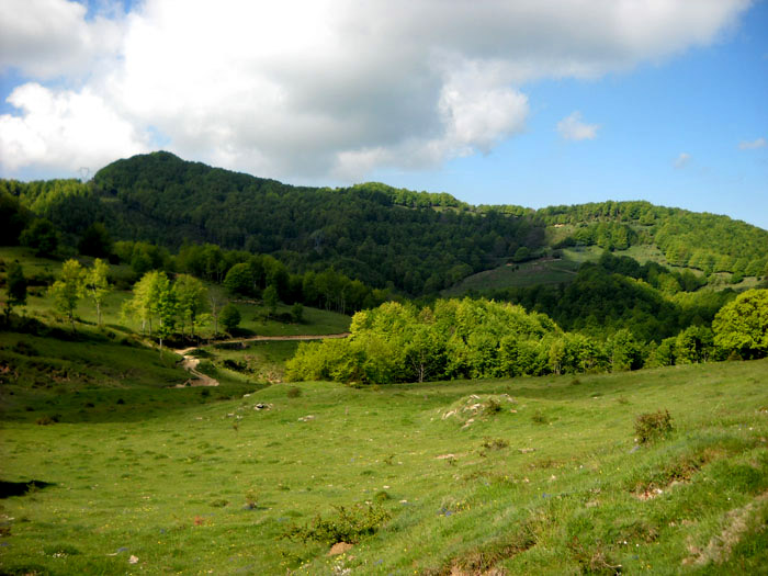 Paisatge de Puigsacalm i Bellmunt.