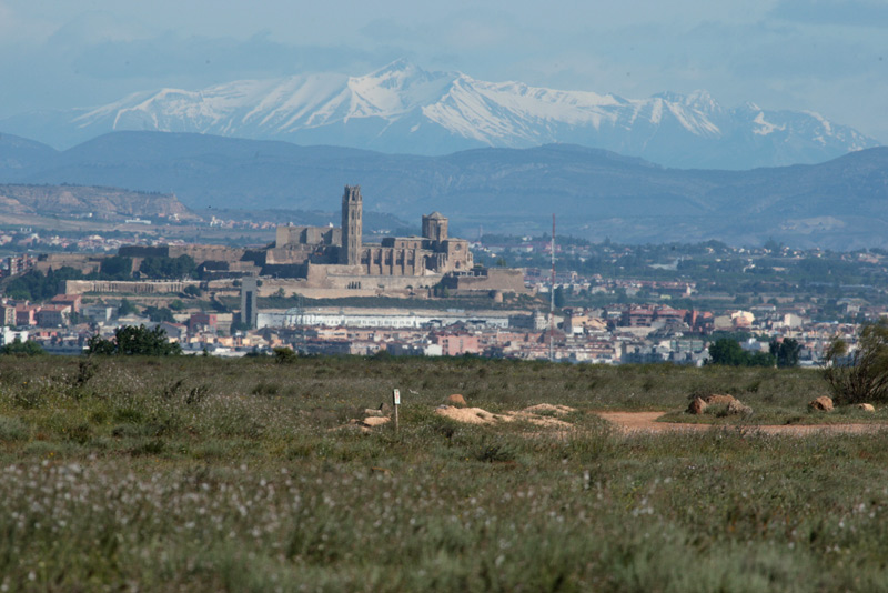 La Seu Vella de Lleida, des  de l'Aeròdrom d'Alfés.
