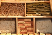 Hotel d'abelles i vespes. Detall