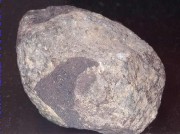 Condrita carbonosa, Meteorit d'Allende
