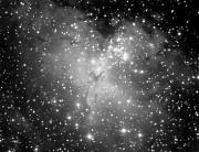 Nebulosa de l'Àliga (IC4703) i cúmul obert d'estels associat (M16)