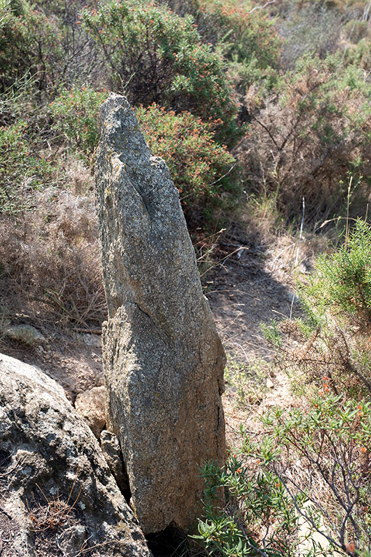 Menhir o pedra dreta del Mas Mares II