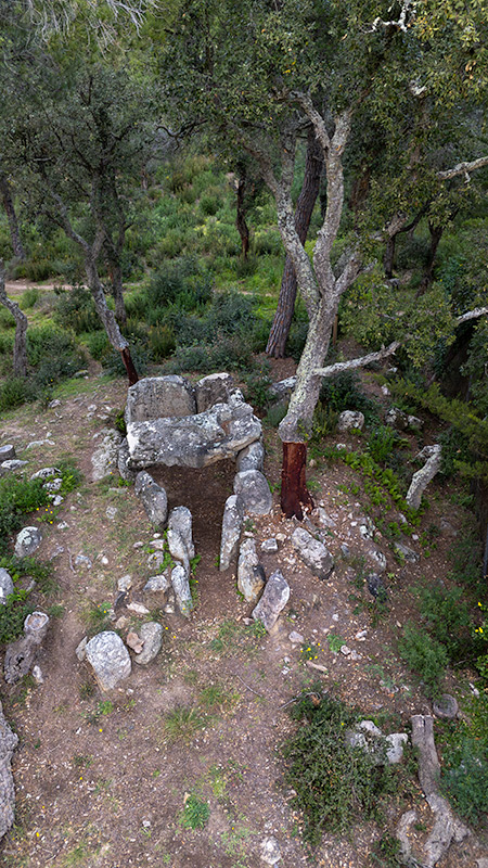 Dolmen del Mas Bou-serenys