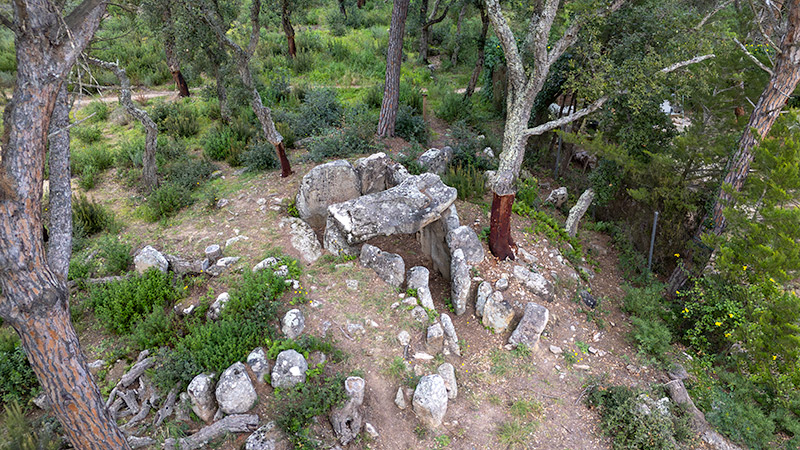 Dolmen del Mas Bou-serenys