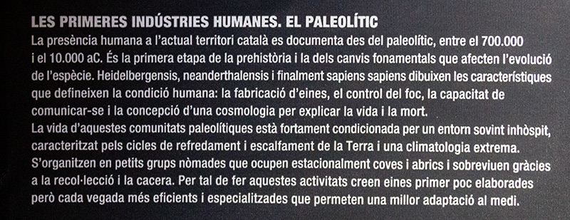 El Paleolític. Les primeres indútries humanes.