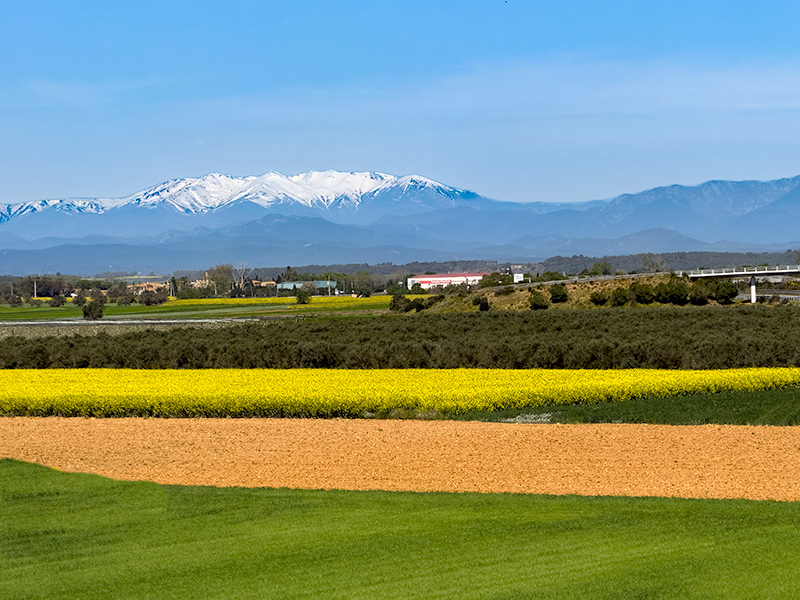 El verd, el marró el groc, la neu i el cel