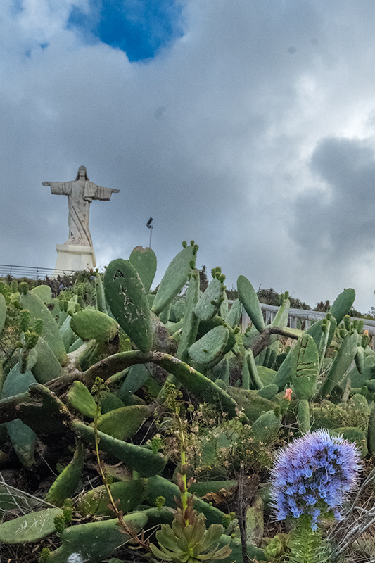 Ponta de Sao Lourenço