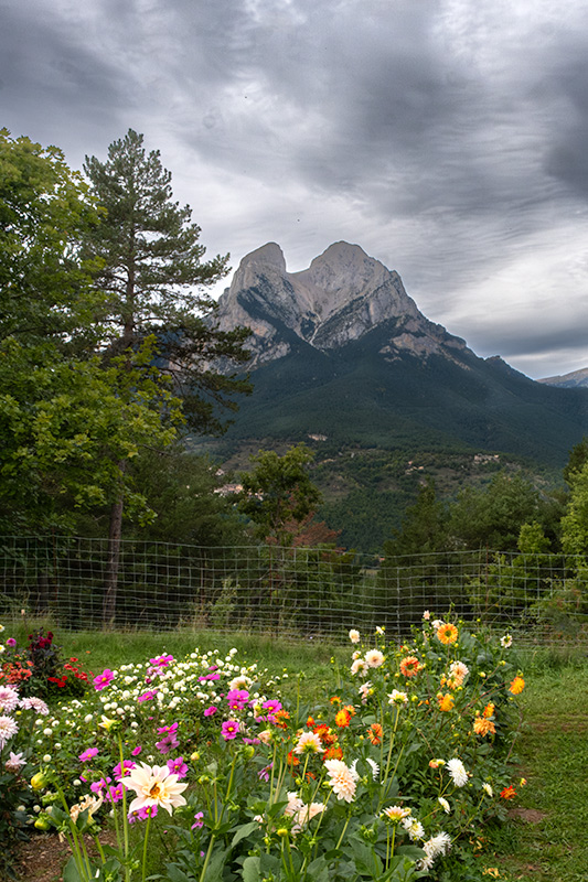 El Pedraforca i les Dàlies