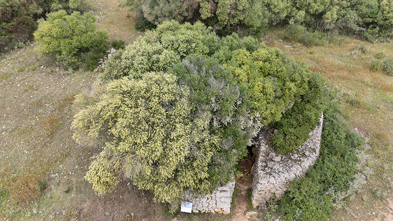 Sala hipòstila