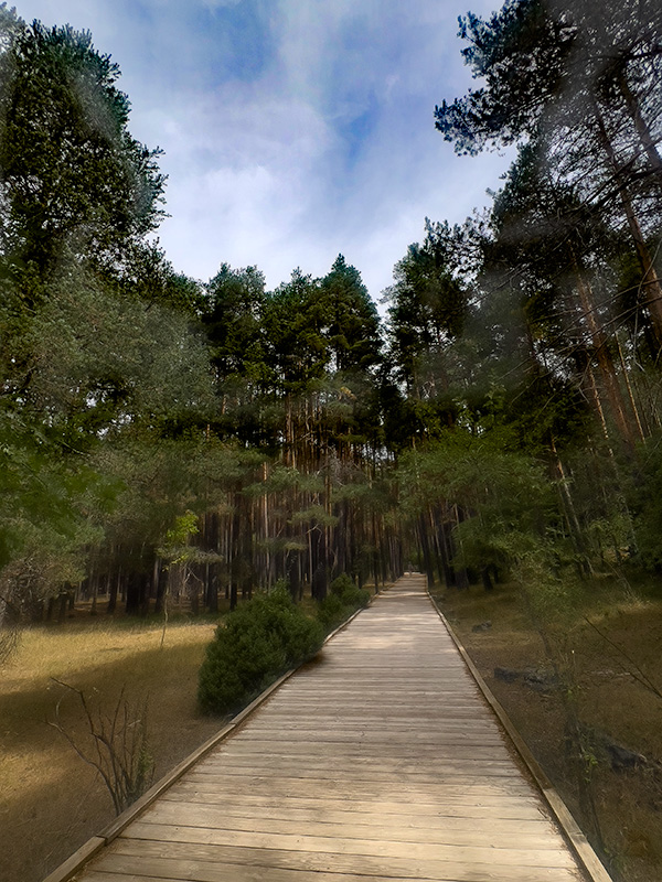 Passejant pel riu Cuervo