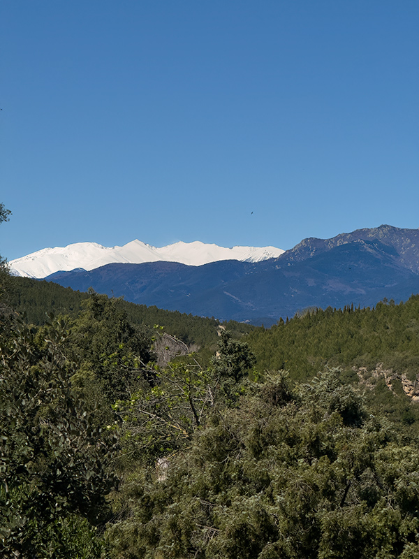 Passejant pel poble