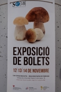 Cartell de l'Exposició de BOLETS.