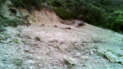 Fotoparany al Montsec: Família de senglars amb bany