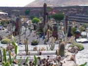 Jardín del cactus