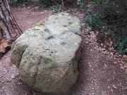 Pedra de Collserola