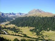 Grau Roig, boscos obaga de Soldeu (Andorra)