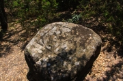 Pedra dels Sacrificis de Can Cabanyes