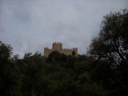 Castell de Farnés