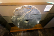 Passejant pel museu tranquil·lament