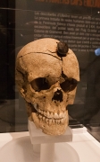Crani