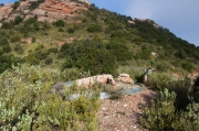 Sepulcre de roca Sareny.Parc Natural de Sant Llorenç del Munt i l'Obac
