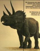 Mural d'un Triceratops Horridus (Reptil) del Cretàci 23/41