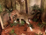 Recreació de Dromaeosaurus (rèptil corredor)