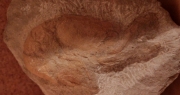 Escamarlà fòssil