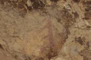 Pintures rupestres de la Cova del Cogulló