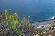 Ponta de Sao Lourenço