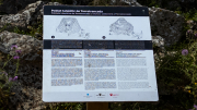 Cartell : Poblat talaiòtic de Torretrencada