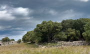 Caminant pel Poblat de Torrellafuda