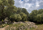 Caminant pel Poblat de Torrellafuda