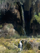 Passejant pel riu Cuervo