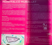 Sortida Montfalcó 01d16