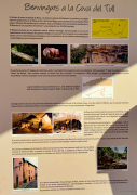 Cartell informatiu: Coves del Toll