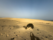 Les Dunes i la Calima