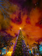 Passejant per l'Hospital de Sant Pau