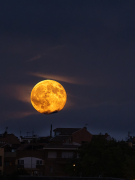 La Lluna 19:46h