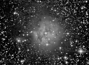IC5146 (Nebulosa del Capullo)