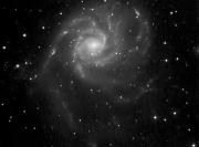 Galàxia M101